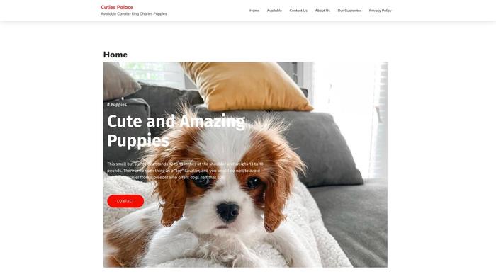 Breedcavalierspups.com - Cavalier King Charles Spaniel Puppy Scam Review