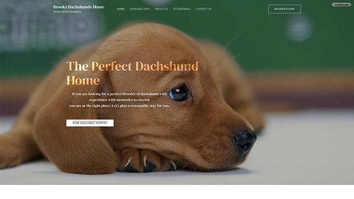 Brooksdachshunds.com - Dachshund Puppy Scam Review