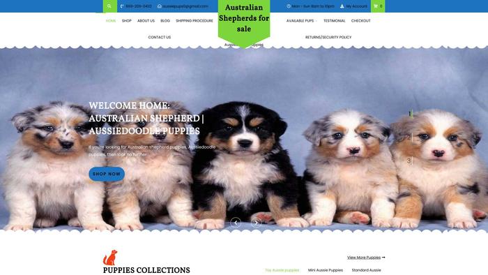 Buyaustralianpuppy.com - Australian Shepherd Puppy Scam Review