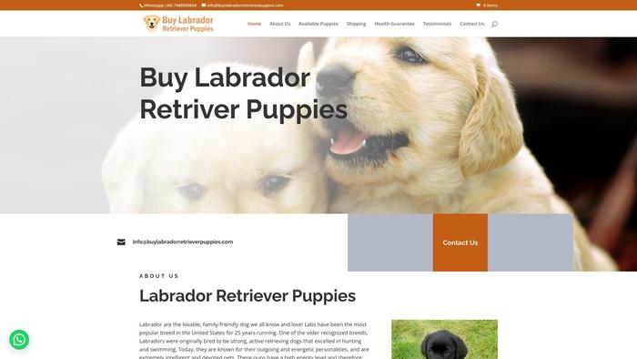 Buylabradorretrieverpuppies.com - Golden Retriever Puppy Scam Review