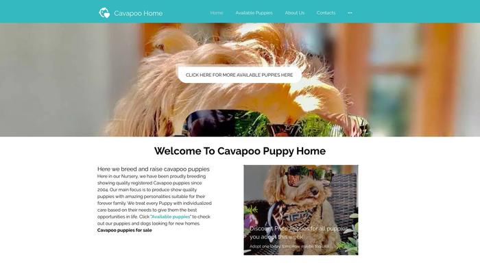 Cavadoodlepuppies.com - Cavapoo Puppy Scam Review