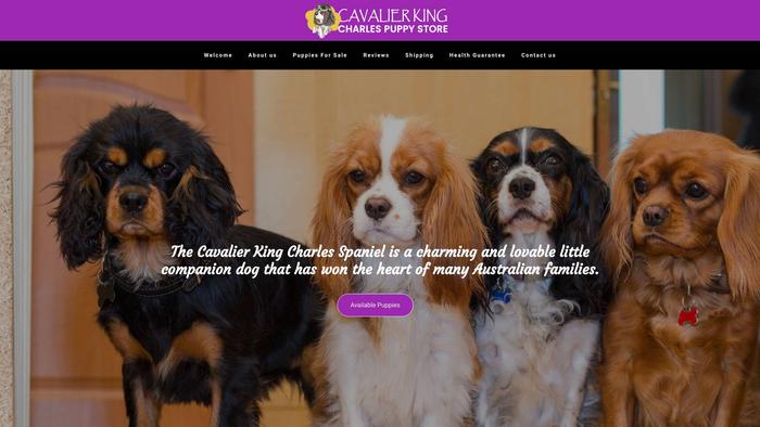 Cavalierkingcharlespuppystore.com - Cavalier King Charles Spaniel Puppy Scam Review