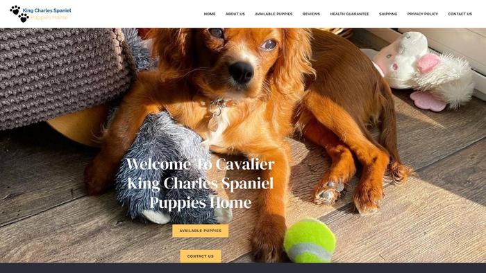 Cavalierkingcharlesspanielshome.com - Cavalier King Charles Spaniel Puppy Scam Review