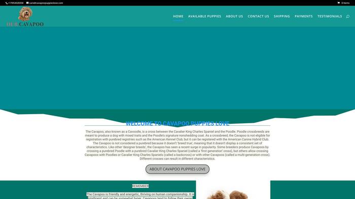 Cavapoopuppieslove.com - Cavapoo Puppy Scam Review