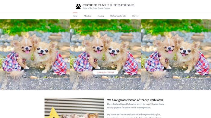 Certifiedchihuahuas.com - Chihuahua Puppy Scam Review