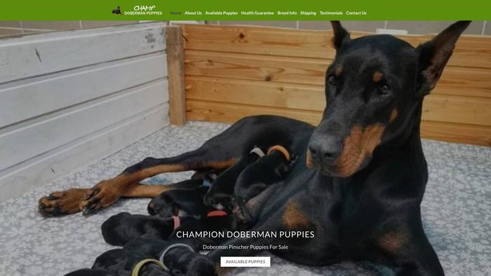 Champdobermanpuppies.com - Doberman Pinscher Puppy Scam Review