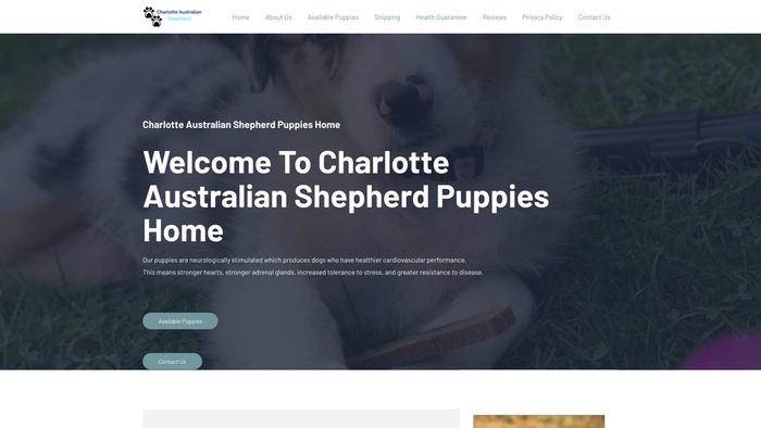 Charlotteaustralianshepherd.com - Germanshepherd Puppy Scam Review