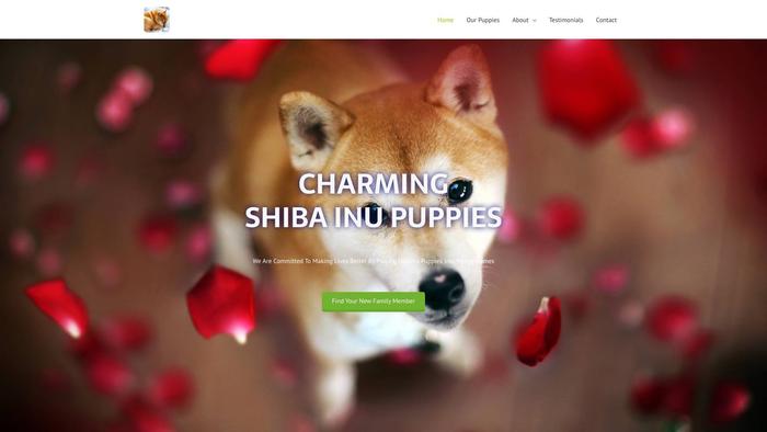 Charmingshibainupuppies.com - Shibhainu Puppy Scam Review