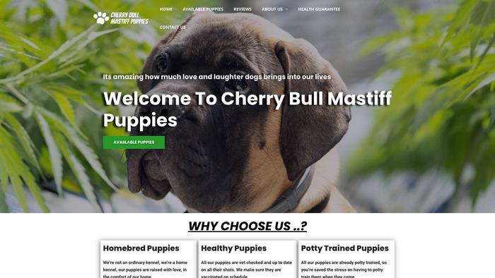 Cherrybullmastiffpuppies.com - Bull Mastiff Puppy Scam Review