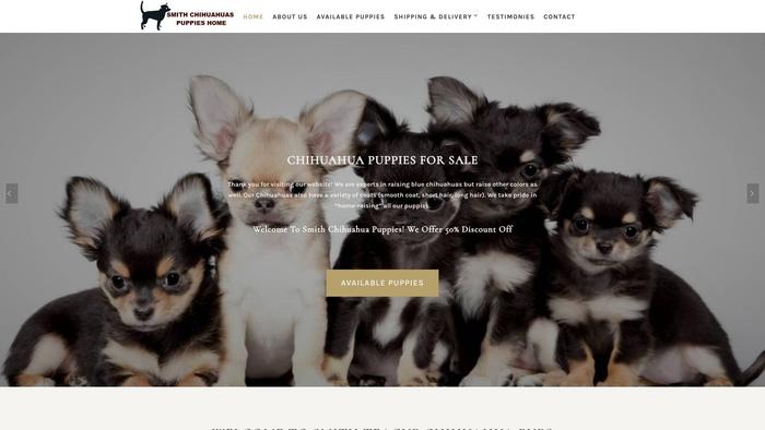 Chihuahuababiesbreeder.com - Chihuahua Puppy Scam Review