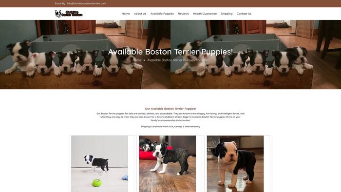 Christianbostonterriers.com - Boston Terrier Puppy Scam Review