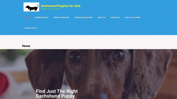 Christmasdachshundpups.com - Dachshund Puppy Scam Review