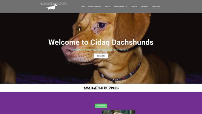 Cidaqminidachshunds.com - Dachshund Puppy Scam Review