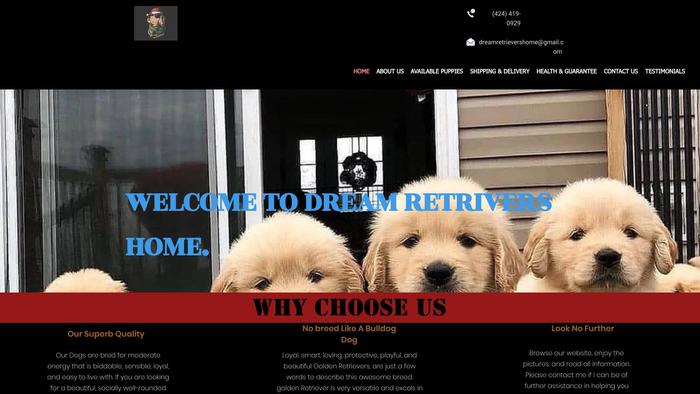 Cjakcgoldenretrieverpups.com - Golden Retriever Puppy Scam Review