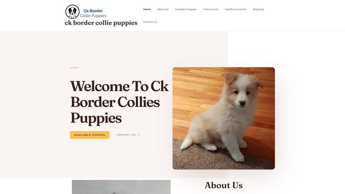 Ckbordercolliepuppies.com - Bordercollie Puppy Scam Review