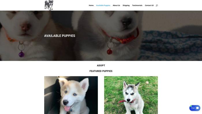 Classysiberianhuskypups.com - Husky Puppy Scam Review