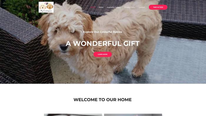 Cockapopupshome.com - Cockapoo Puppy Scam Review