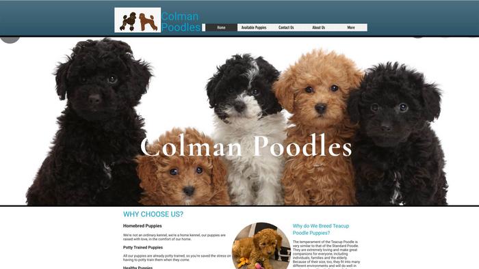 Colmanpoodles.com - Poodle Puppy Scam Review