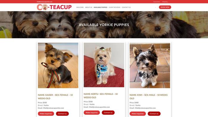 Coteacupyorkie.com - Yorkshire Terrier Puppy Scam Review