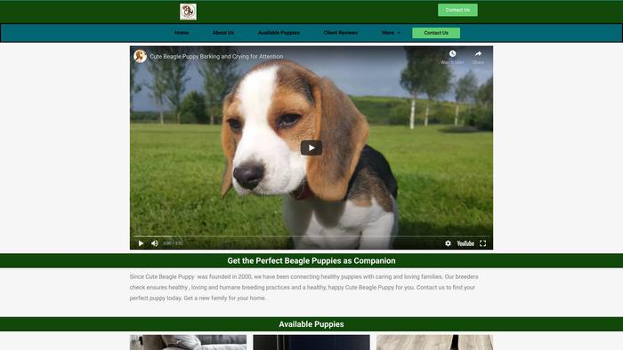 Cutebeaglepuppy.com - Beagle Puppy Scam Review