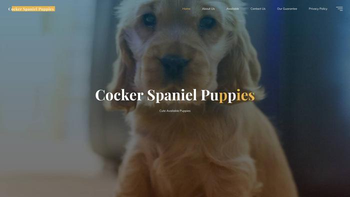 Cutepuppiesforall.com - Cockerspaniel Puppy Scam Review