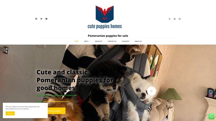 Cutepuppieshomes.com - Pomeranian Puppy Scam Review