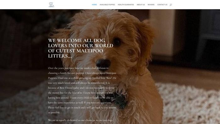 Cutestmaltipoolitters.com - Maltipoo Puppy Scam Review