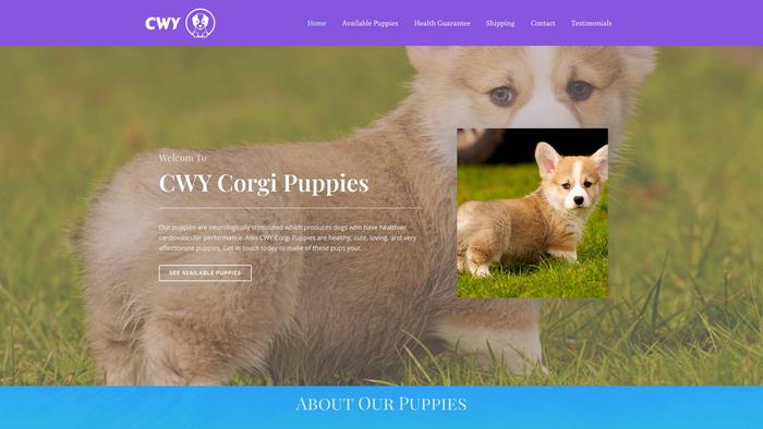 Cwycorgipuppies.com - Corgi Puppy Scam Review