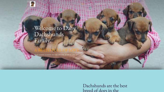 Dabydachshundfamily.com - Dachshund Puppy Scam Review