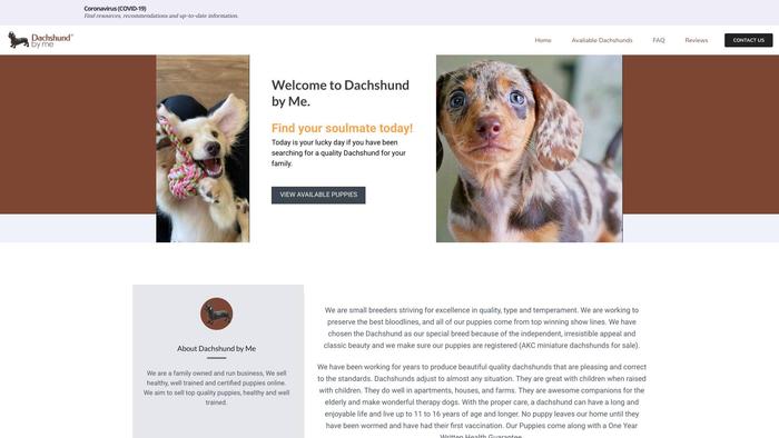 Dachshundsbyme.com - Dachshund Puppy Scam Review