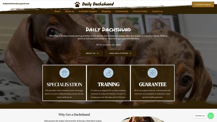 Dailydachshunds.com - Dachshund Puppy Scam Review