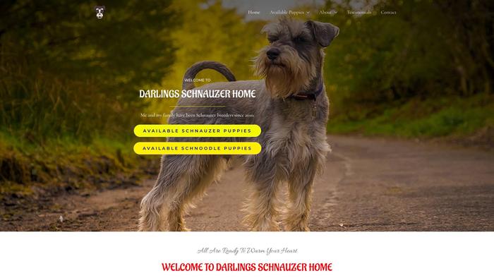 Darlingsschnauzerhome.com - Schnauzer Puppy Scam Review