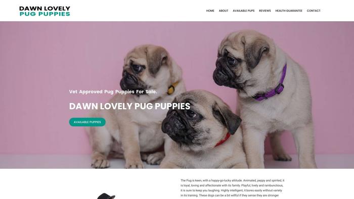 Dawnlovelypugpuppies.com - Pug Puppy Scam Review