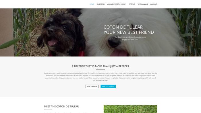 Dazzlingcotons.com - Coton De Tulear Puppy Scam Review