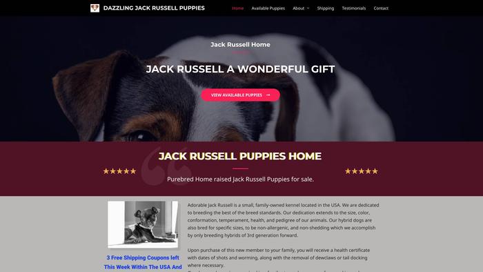 Dazzlingjackrusellpuppies.com - Jack Russell Terrier Puppy Scam Review