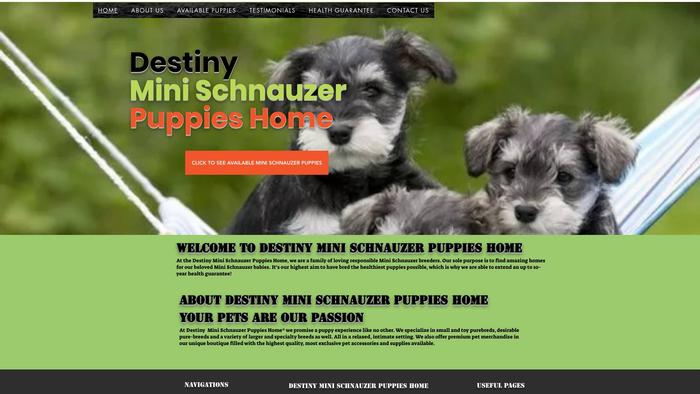 Destinyminischnauzerpuppies.com - Schnauzer Puppy Scam Review