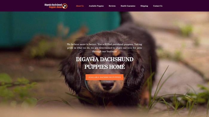 Digaviadachshundpuppieshome.com - Dachshund Puppy Scam Review