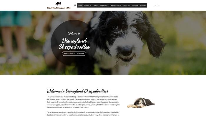 Disneylandsheepadoodles.com - Labradoodle Puppy Scam Review