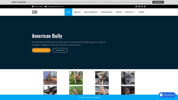 Dogwoodbullies.com - English Bulldog Puppy Scam Review