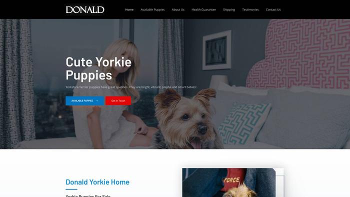 Donaldsyorkiehome.com - Yorkshire Terrier Puppy Scam Review