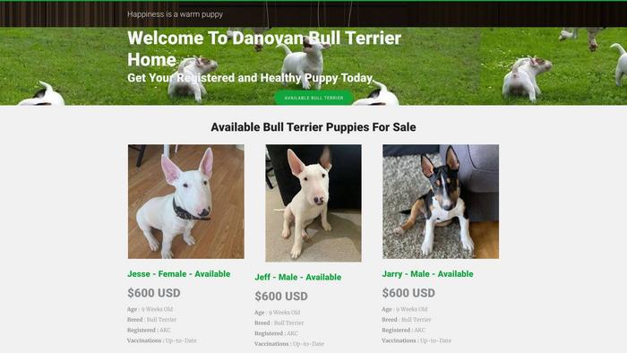 Donovanbullterrier.com - Terrier Puppy Scam Review