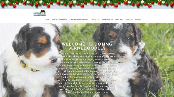 Dotingbernedoodles.com - Bernedoodle Puppy Scam Review