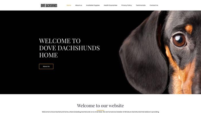 Dovedachshundshome.com - Dachshund Puppy Scam Review