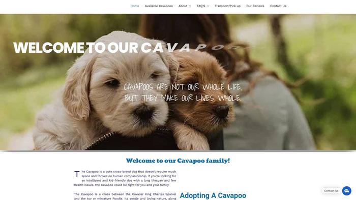 Elevatedcavapoos.com - Cavapoo Puppy Scam Review