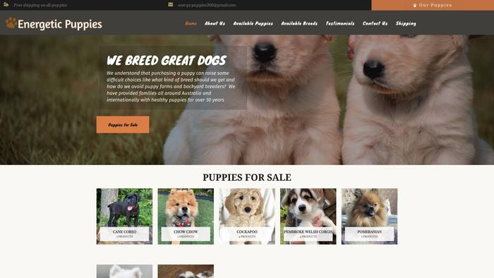 Energeticpuppies.com - Chowchow Puppy Scam Review