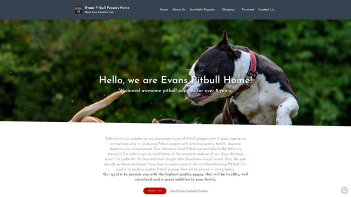 Evanspitbullhome.com - Pit Bull Puppy Scam Review