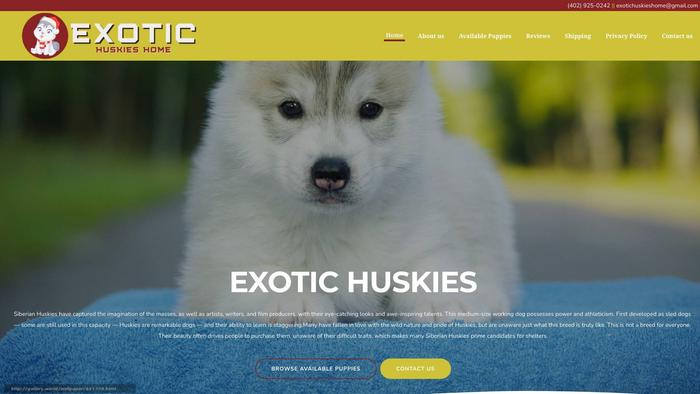 Exotichuskies.com - Husky Puppy Scam Review