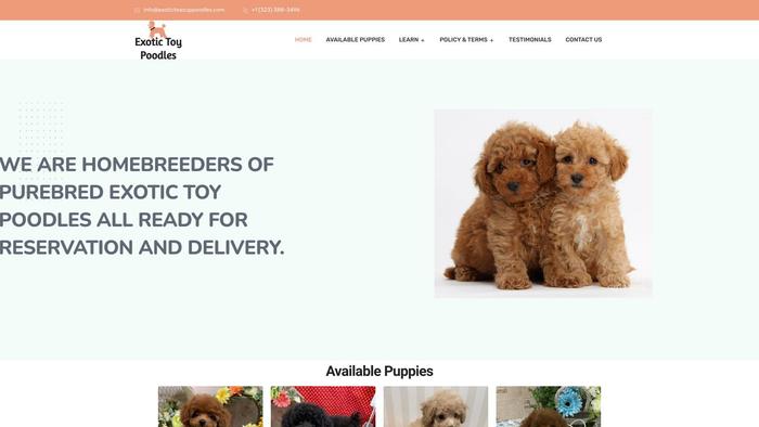 Exoticteacuppoodles.com - Poodle Puppy Scam Review