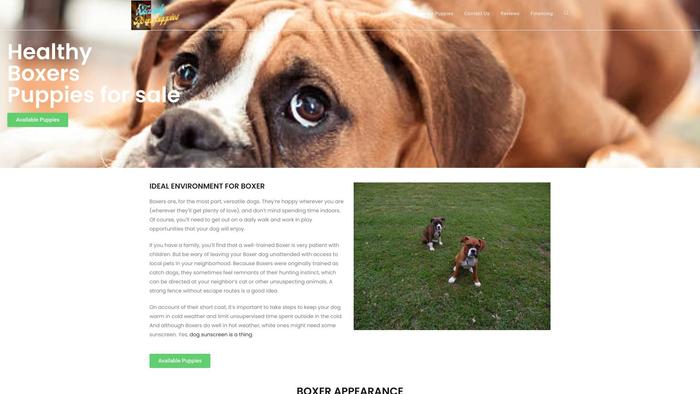 Familyboxerpuppies.com - Boxer Puppy Scam Review