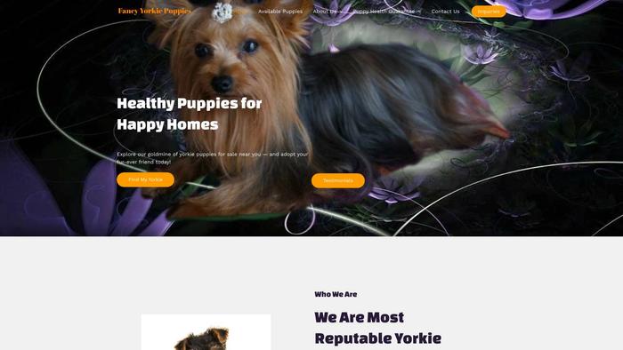 Fancyyorkiepuppies.com - Yorkshire Terrier Puppy Scam Review